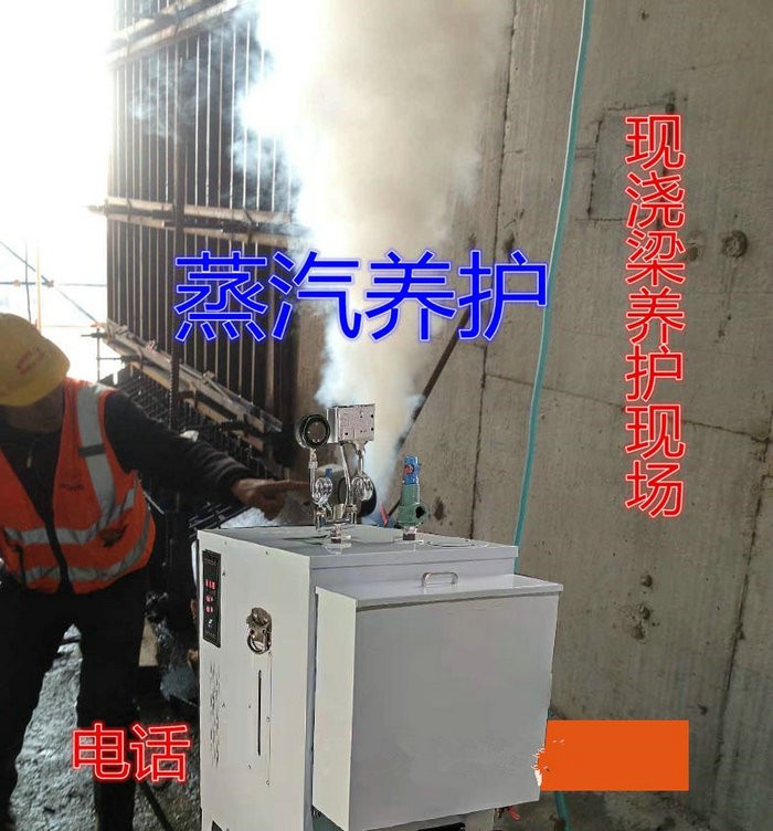 苏州桥梁养护用电蒸汽发生器